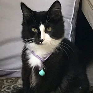 Meet your Posher, Hannah